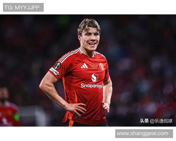 霍伊伦的传奇人生与不凡成就探秘之旅